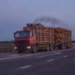 A Loaded Timber Truck Transports Timber Logs With An Overload On